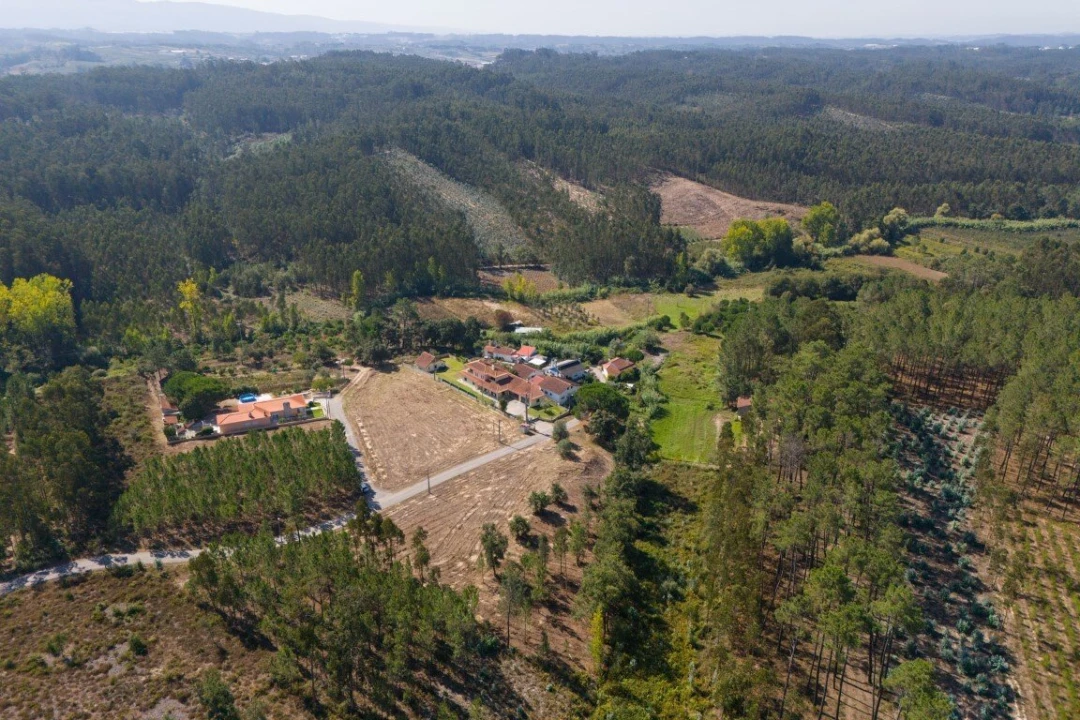 Terreno para Venda em Maceira Foto 8