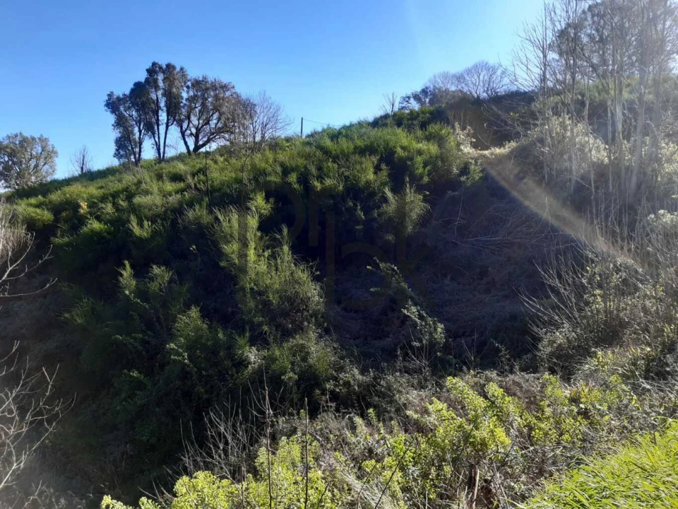 Terreno para Venda em Monchique Foto 13