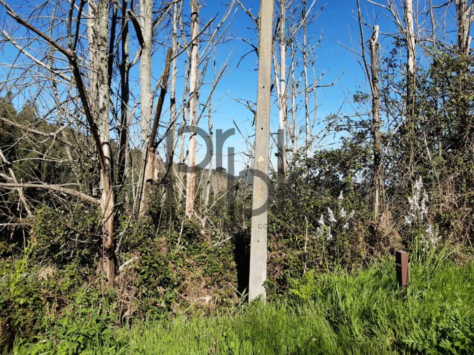 Terreno para Venda em Monchique Foto 11