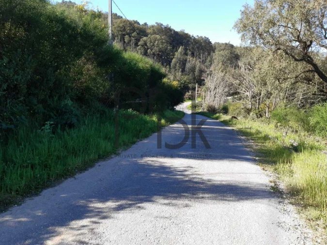 Terreno para Venda em Monchique Foto 3