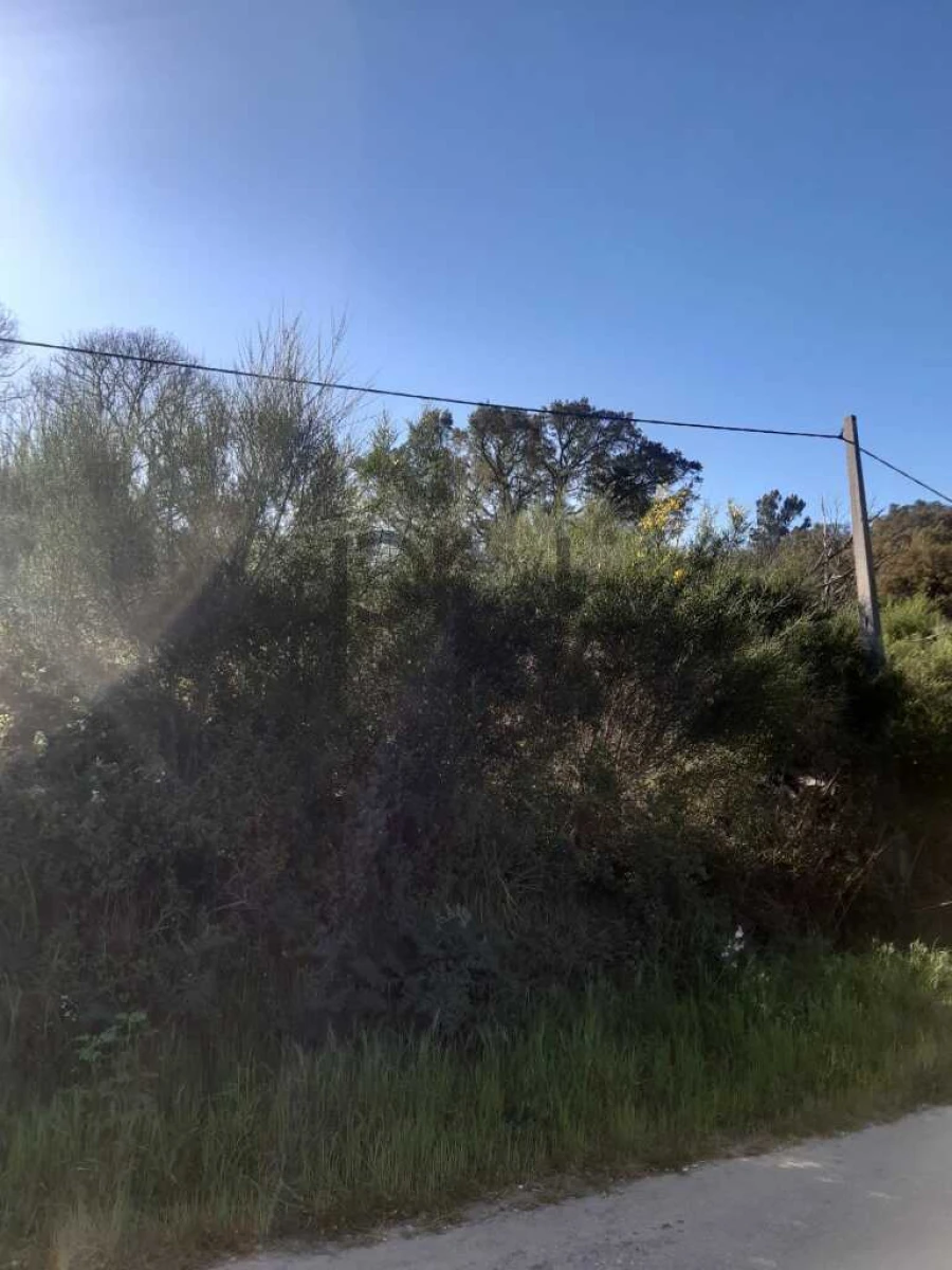 Terreno para Venda em Monchique Foto 2