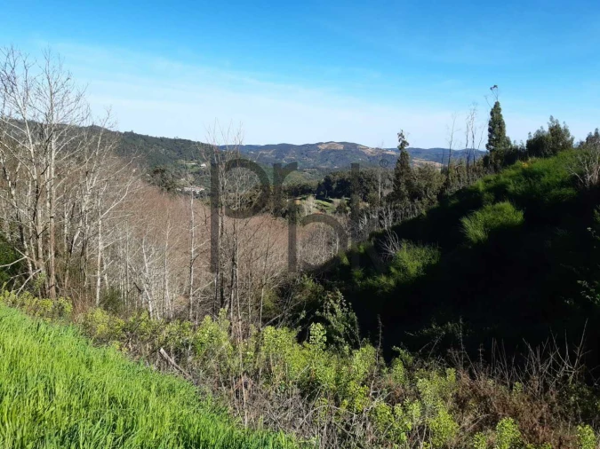 Terreno para Venda em Monchique Foto 10