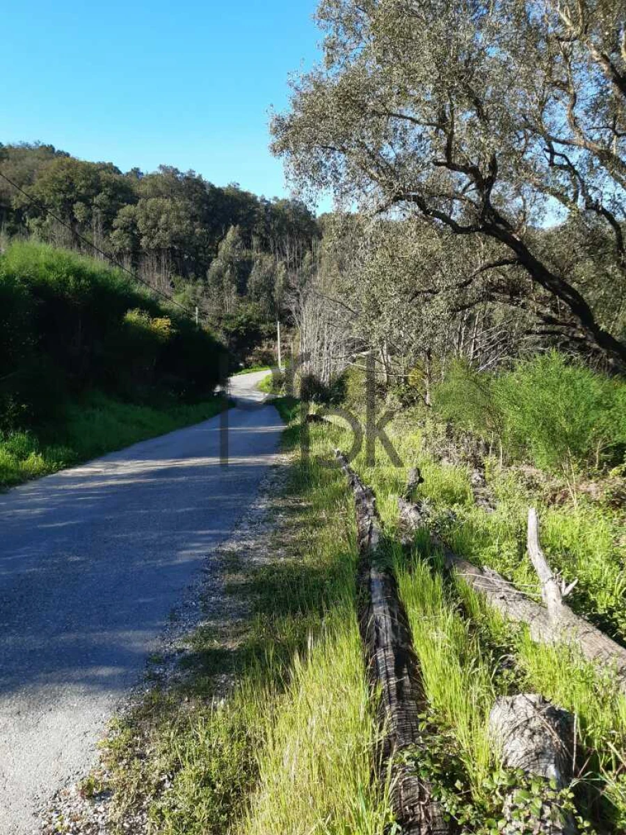 Terreno para Venda em Monchique