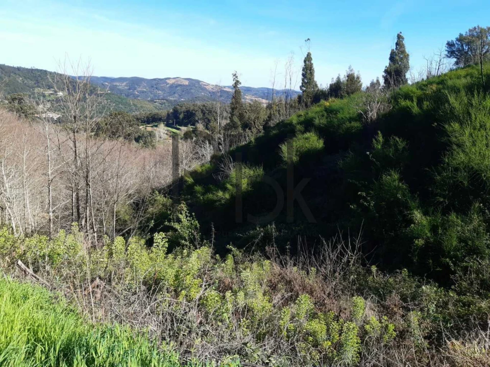 Terreno para Venda em Monchique Foto 7