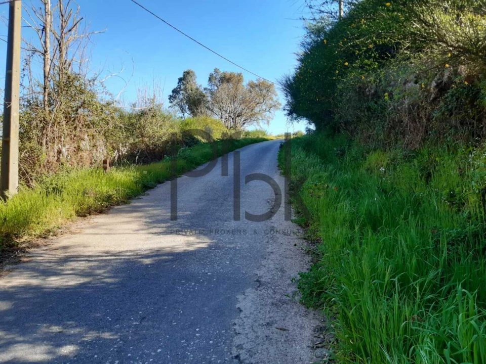 Terreno para Venda em Monchique Foto 12