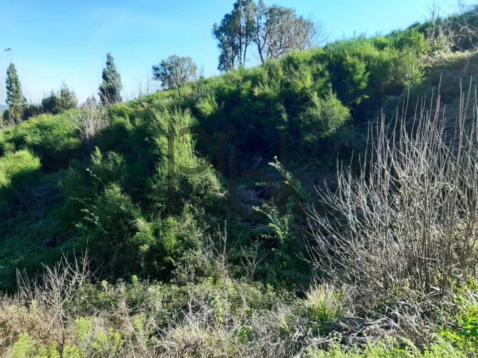 Terreno para Venda em Monchique Foto 8
