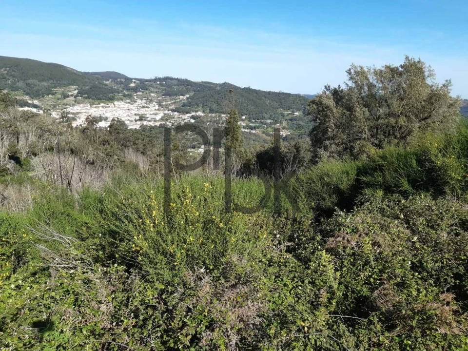 Terreno para Venda em Monchique Foto 6