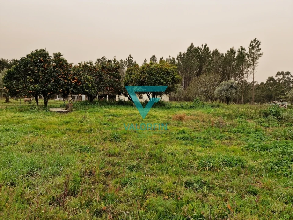 Terreno para Venda em Milagres Foto 1
