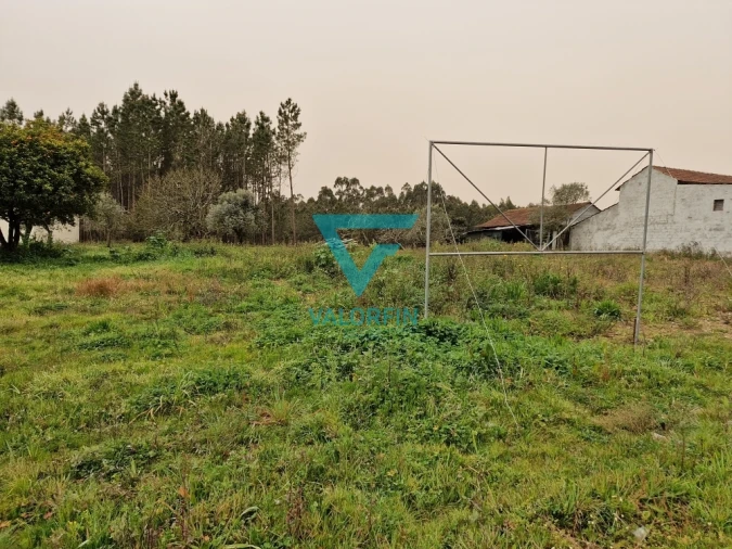 Terreno para Venda em Milagres Foto 4