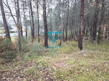 Terreno para Venda em Bidoeira de Cima