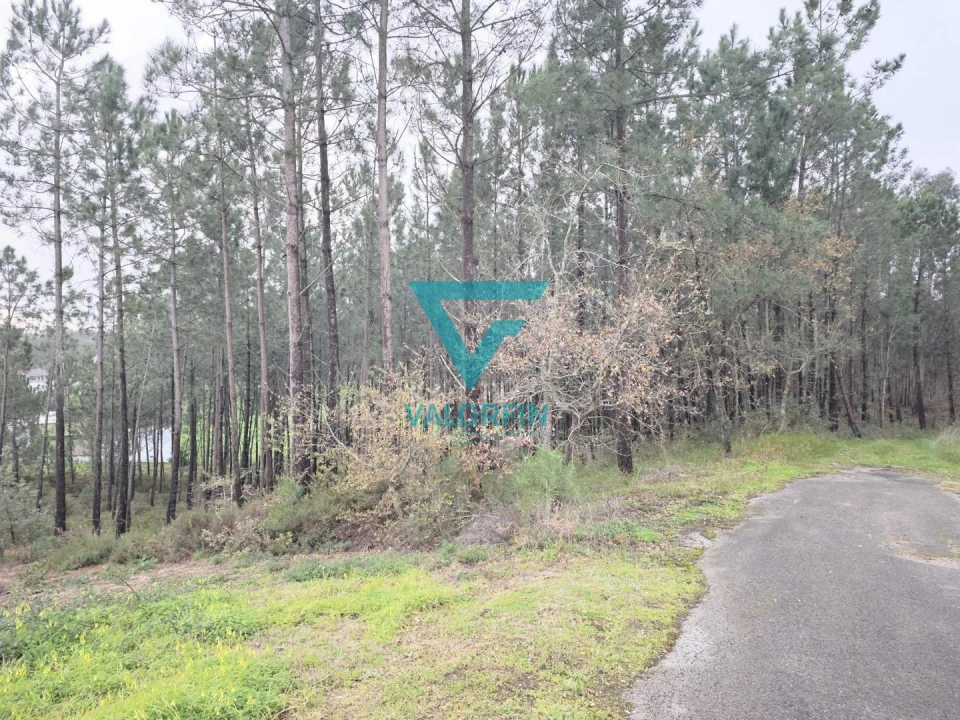 Terreno para Venda em Bidoeira de Cima Foto 6