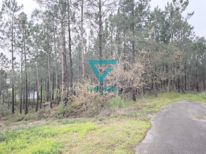 Terreno para Venda em Bidoeira de Cima Foto 6