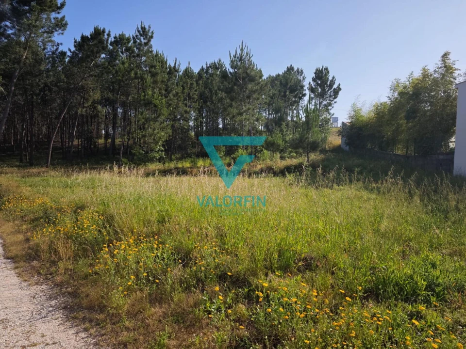 Terreno para Venda em Bidoeira de Cima Foto 3