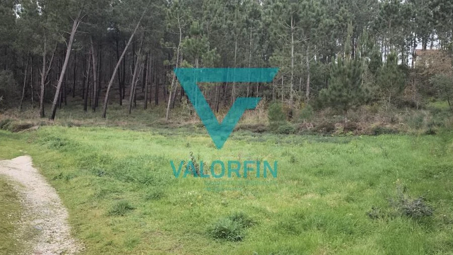 Terreno para Venda em Bidoeira de Cima