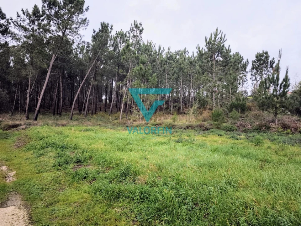 Terreno para Venda em Bidoeira de Cima Foto 7