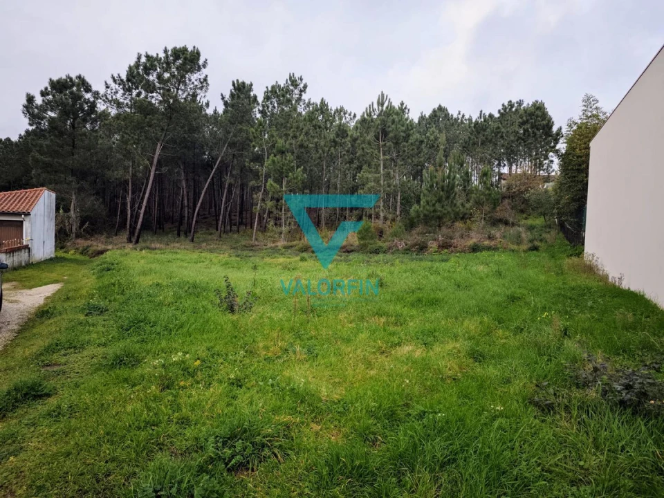 Terreno para Venda em Bidoeira de Cima Foto 2
