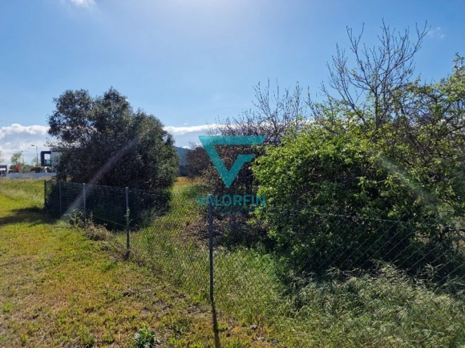 Terreno para Venda em Cantanhede e Pocariça Foto 3