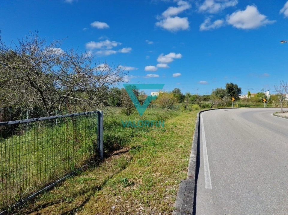 Terreno para Venda em Cantanhede e Pocariça Foto 4