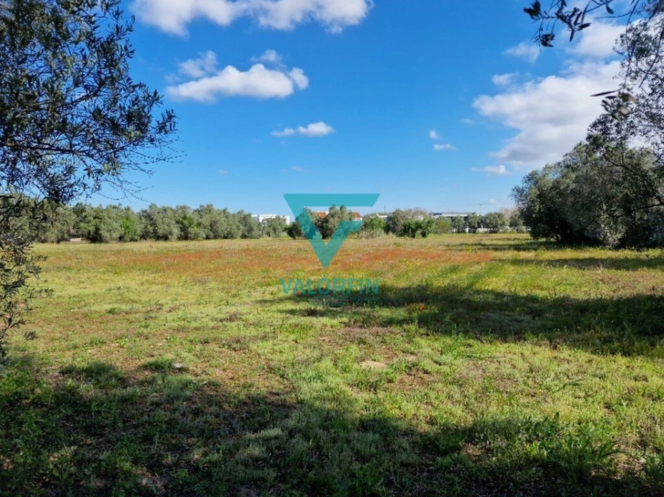 Terreno para Venda em Cantanhede e Pocariça Foto 1