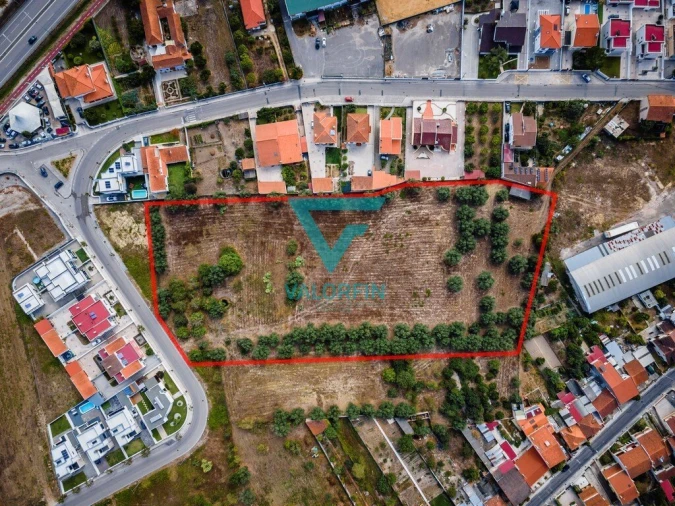 Terreno para Venda em Cantanhede e Pocariça Foto 4