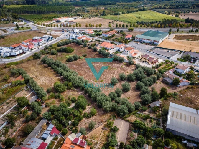 Terreno para Venda em Cantanhede e Pocariça Foto 1
