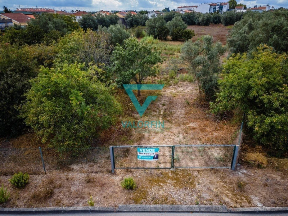 Terreno para Venda em Cantanhede e Pocariça Foto 5