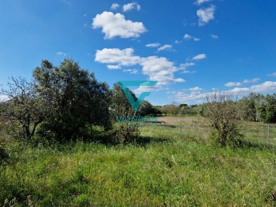 Terreno para Venda em Cantanhede e Pocariça Foto 7