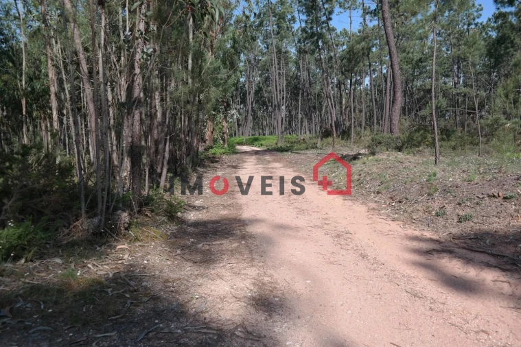 Terreno para Venda em Gondemaria e Olival