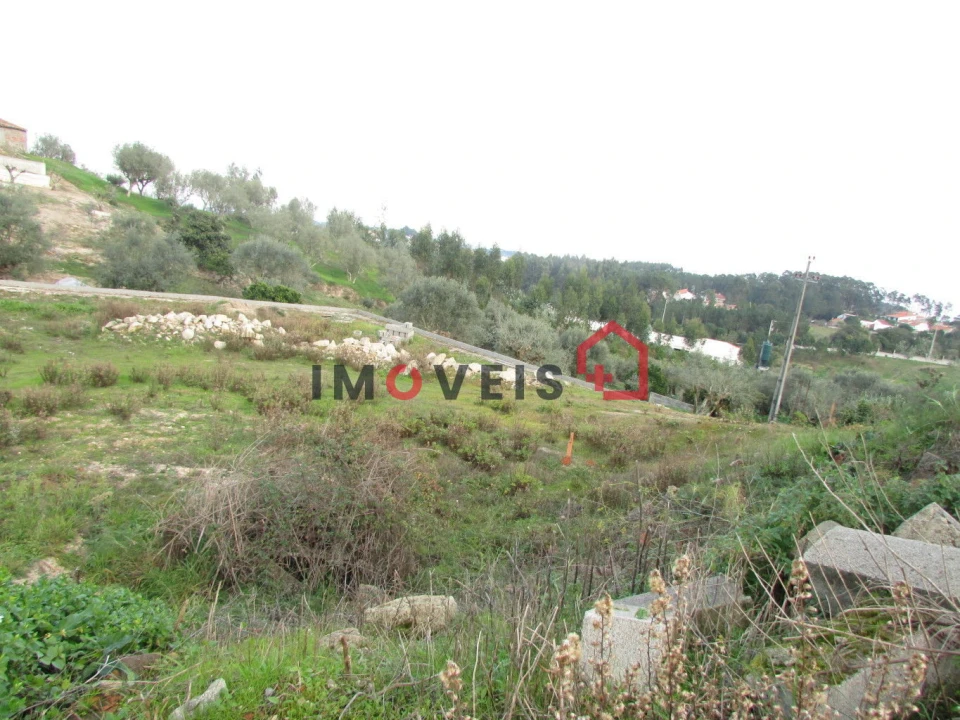 Terreno para Venda em Nossa Senhora das Misericordias Foto 3