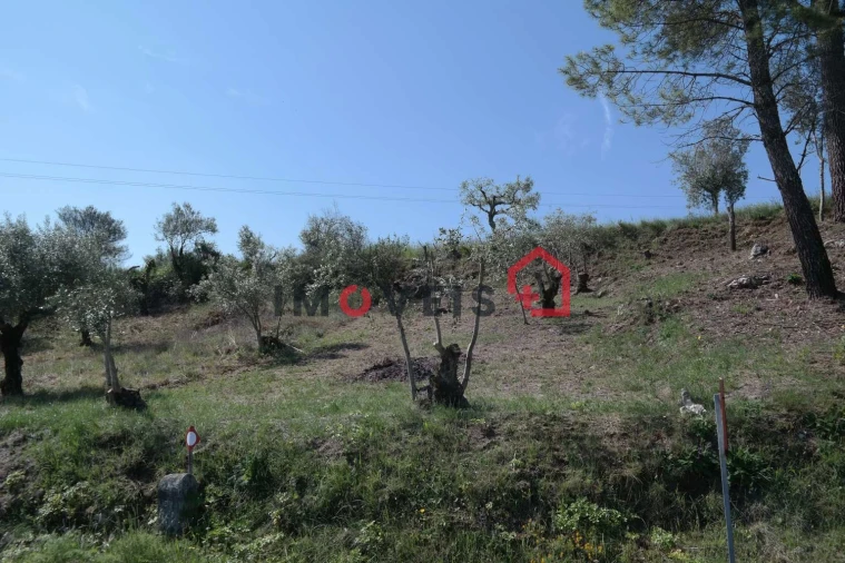 Terreno para Venda em Atouguia Foto 2