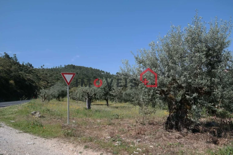 Terreno para Venda em Atouguia Foto 1
