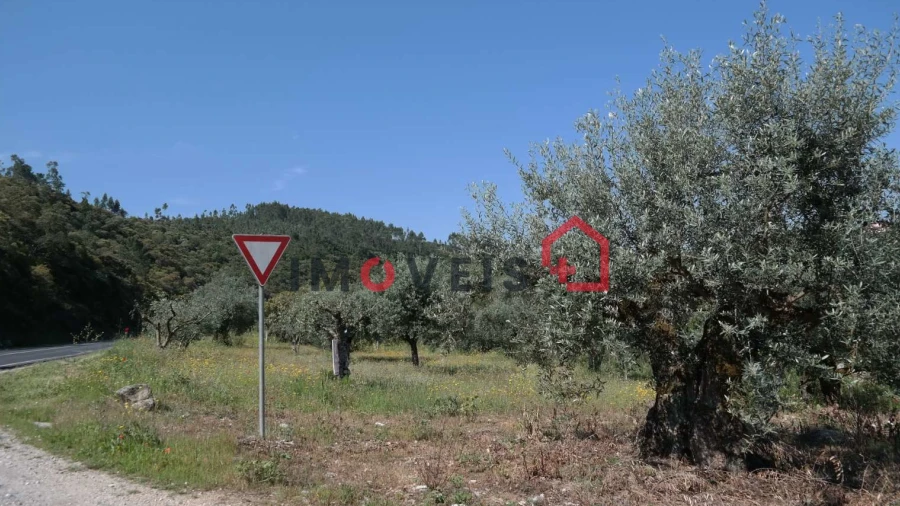 Terreno para Venda em Atouguia