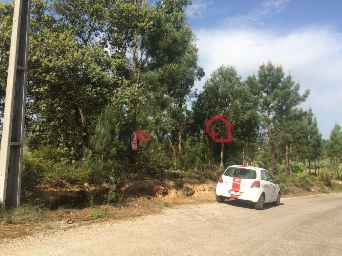 Terreno para Venda em Madalena e Beselga Foto 3