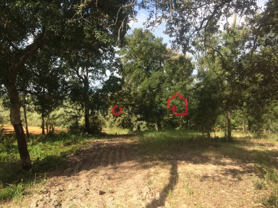 Terreno para Venda em Madalena e Beselga Foto 1