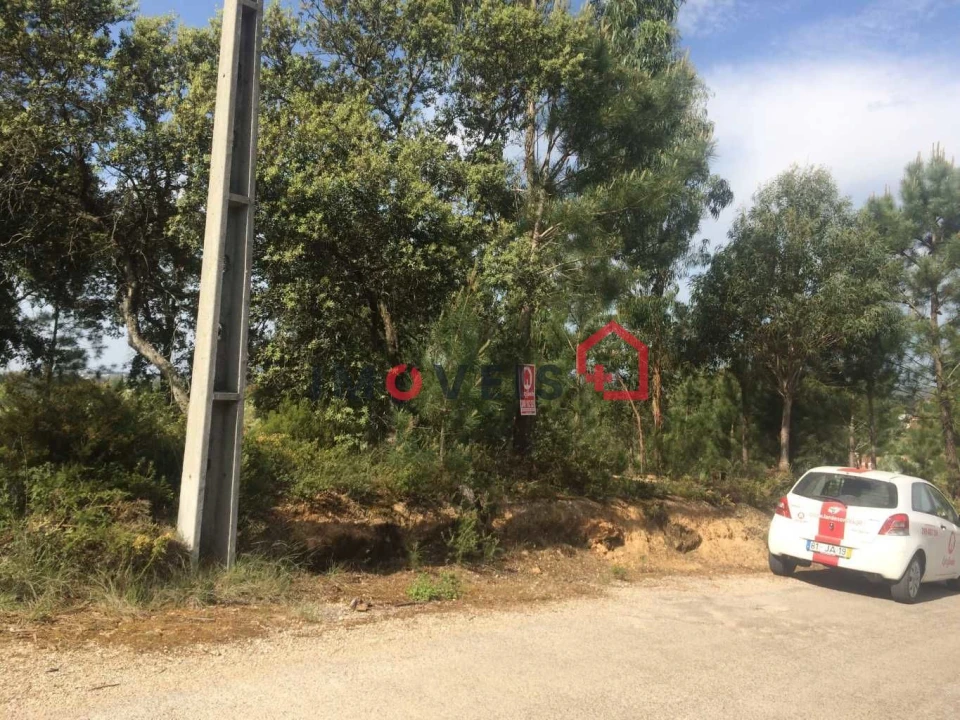 Terreno para Venda em Madalena e Beselga Foto 2
