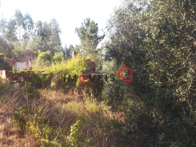 Terreno para Venda em Caxarias Foto 2