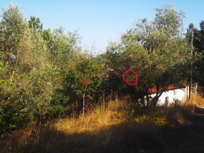 Terreno para Venda em Caxarias Foto 4