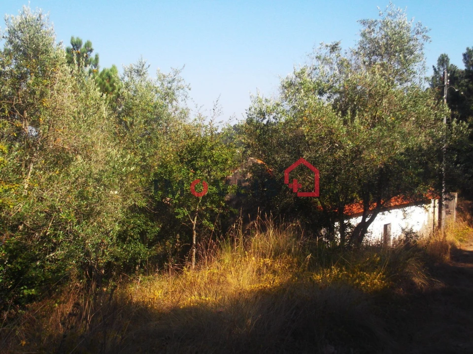 Terreno para Venda em Caxarias Foto 4