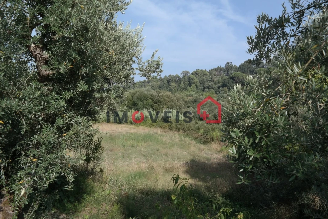 Terreno para Venda em Gondemaria e Olival Foto 2