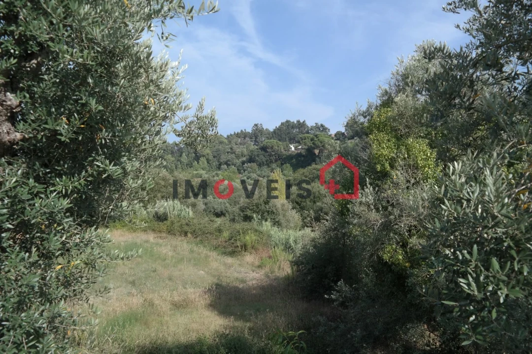 Terreno para Venda em Gondemaria e Olival Foto 1