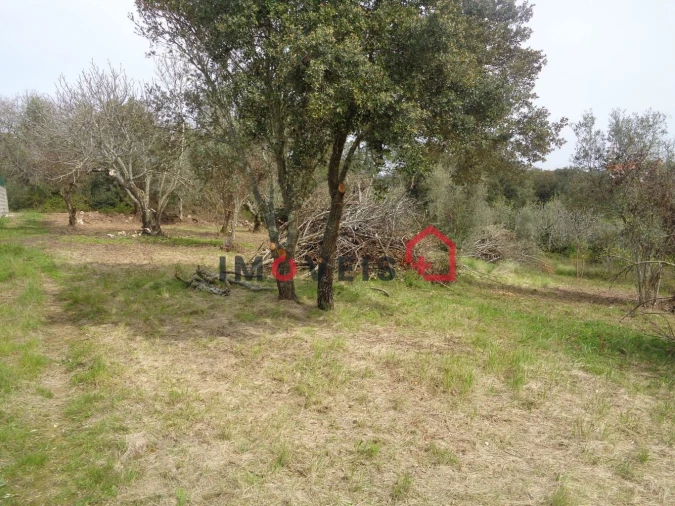 Terreno para Venda em Atouguia Foto 3