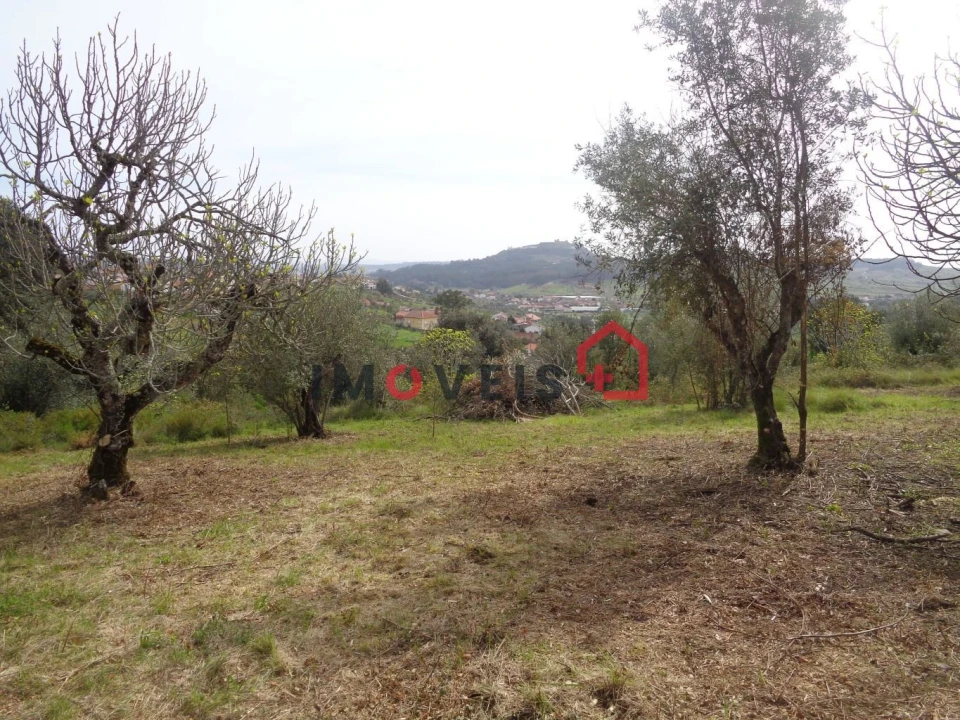 Terreno para Venda em Atouguia Foto 1