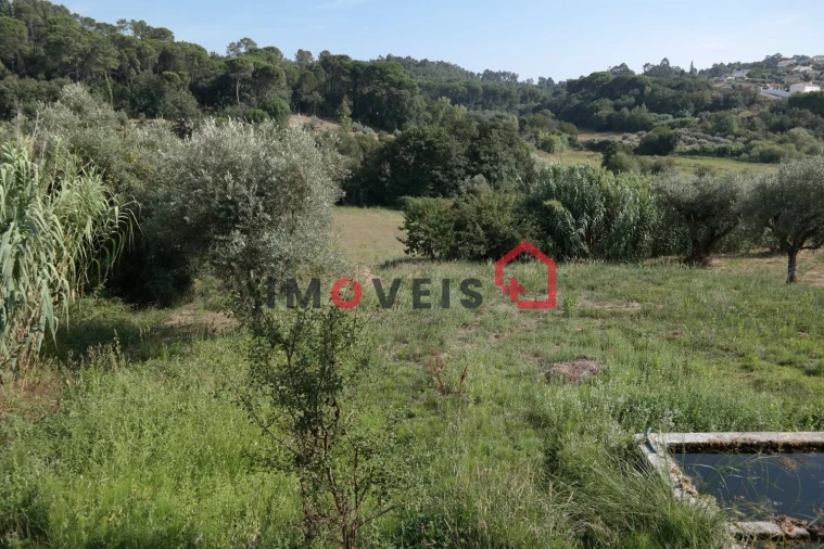 Terreno para Venda em Gondemaria e Olival