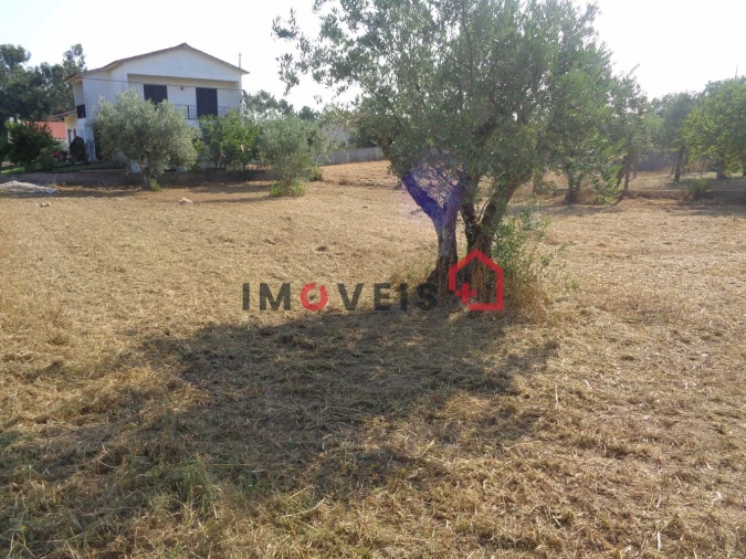 Terreno para Venda em Nossa Senhora da Piedade Foto 3