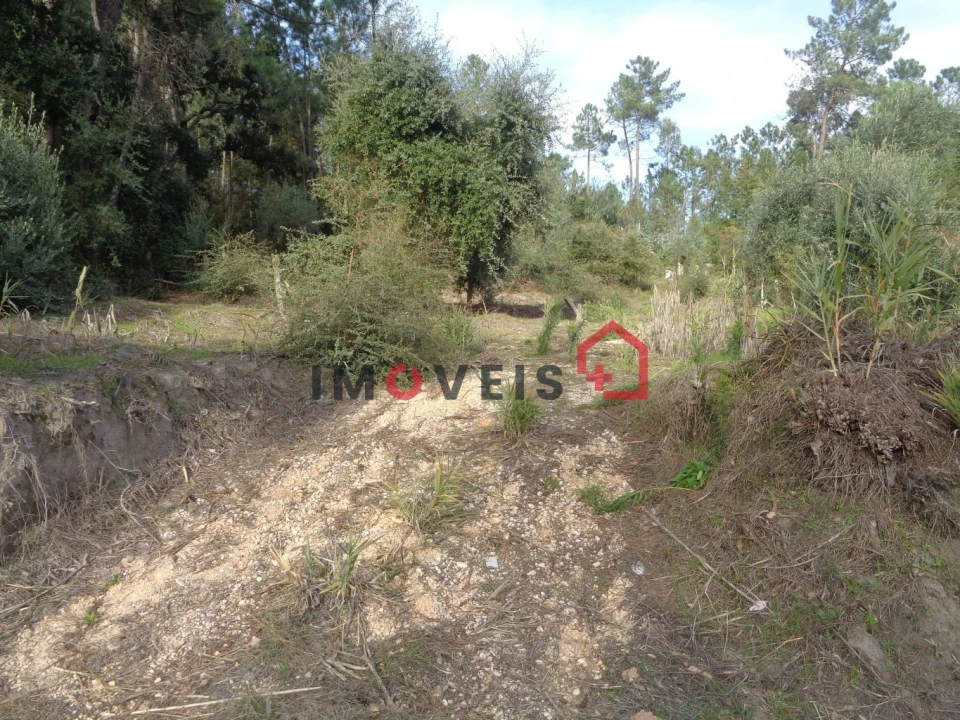 Terreno para Venda em Seiça Foto 2