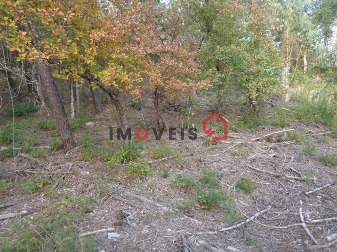 Terreno para Venda em Seiça Foto 4