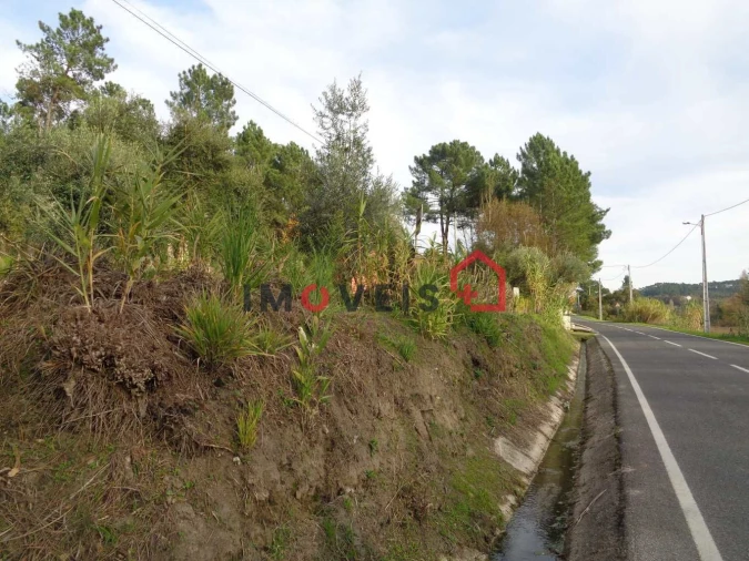 Terreno para Venda em Seiça Foto 5