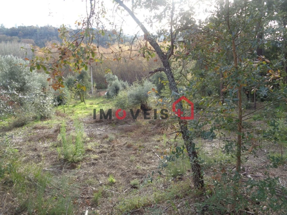Terreno para Venda em Seiça Foto 3