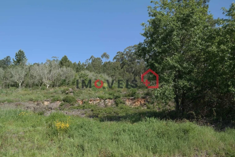 Terreno para Venda em Gondemaria e Olival