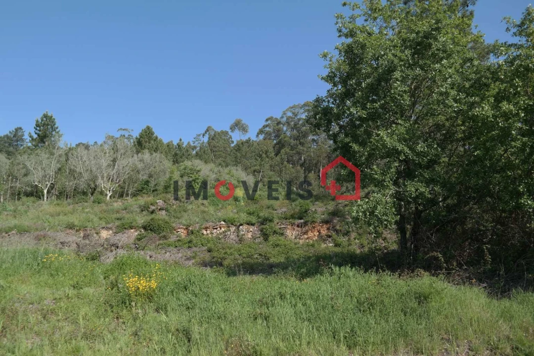 Terreno para Venda em Gondemaria e Olival Foto 1